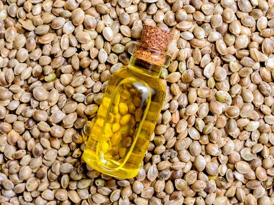 Hemp Oil: The Skin's Soothing Remedy